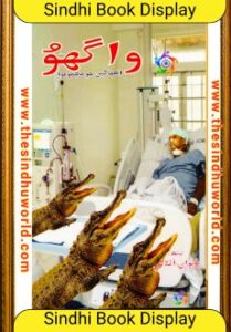 Sindhi Book - Sahitya Akademi Award 2025